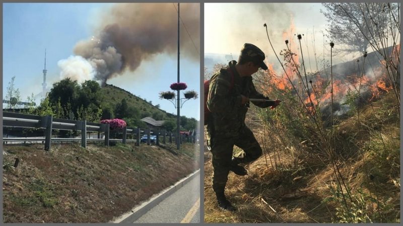 Два пожара на Кок-Тобе: будет возбуждено уголовное дело