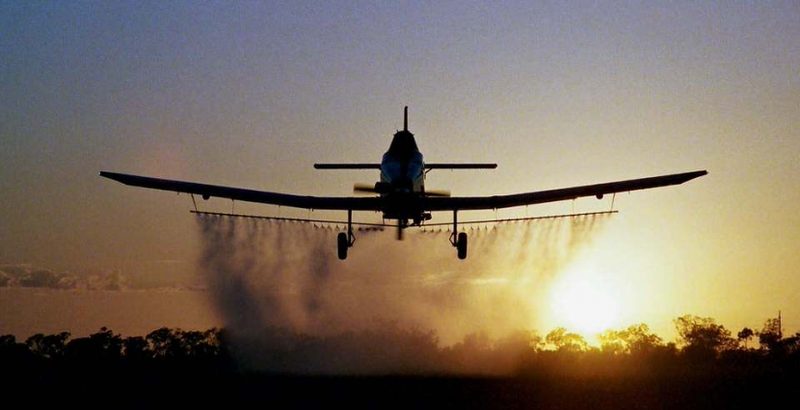 В Караганде хотят реанимировать казахстанские «Фермеры»Эксклюзив