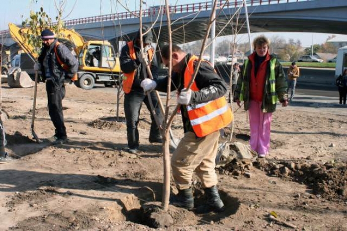 В Алматы открыт сезон весенних посадок