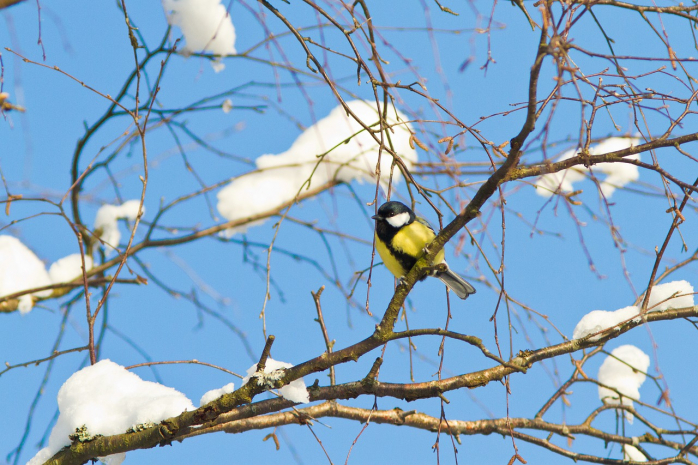 Погода без осадков ожидается на юге и западе Казахстана