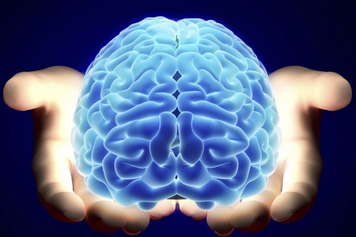 Смерть мозга обратима — нейробиологи