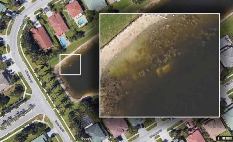 В Google Maps обнаружили останки мужчины, пропавшего 22 года назад