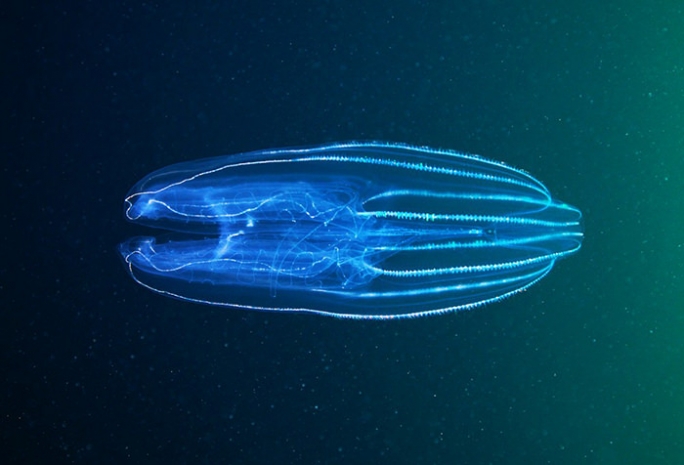 Открытие ученых вносит некоторые дополнения в теорию эволюции