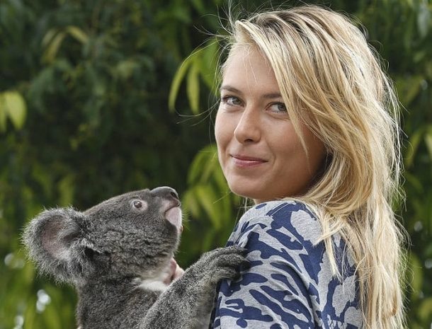 Nike приостановила сотрудничество с Шараповой