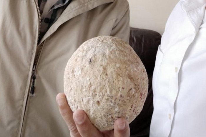 Израильтянин испугался конца света из-за пандемии и вернул украденный артефакт