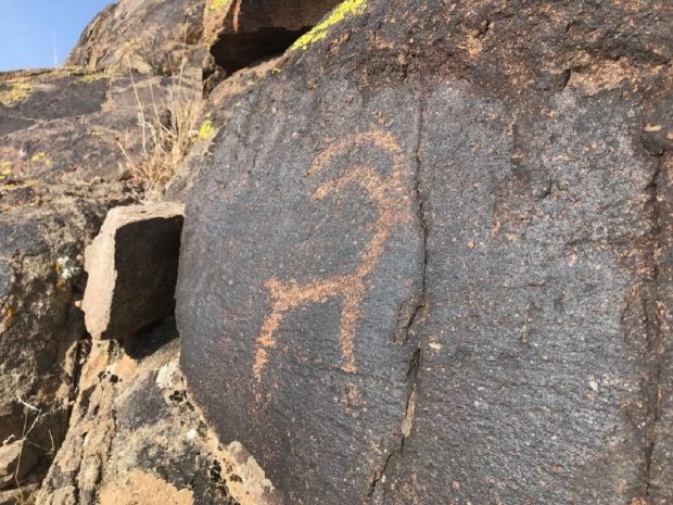 Отсутствием комплексных археологических исследований недоволен экс-министр информации