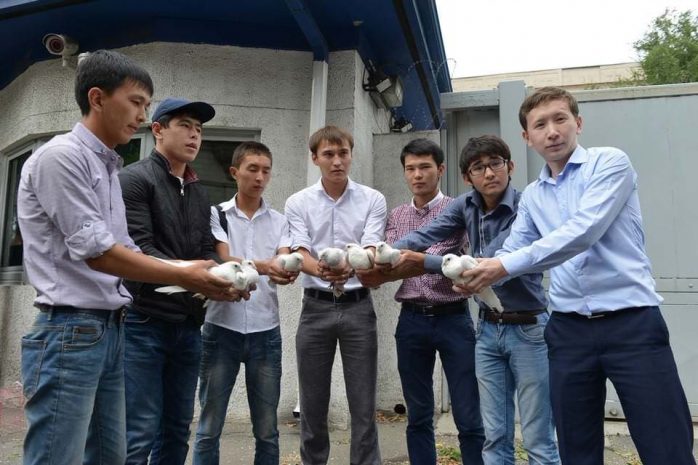 Алматинские студенты организовали флешмоб, требуя Аблязова. ВидеоЭксклюзив