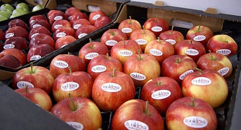 РФ не пустила транзитом в Казахстан более 94 тонн фруктов