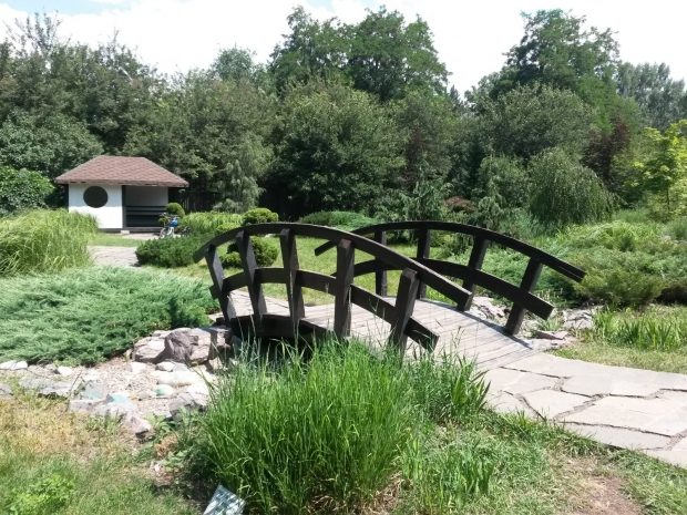 Стало известно, когда завершится реконструкция Ботанического сада в Алматы