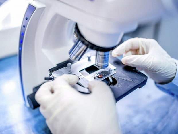 Особенности борьбы с новыми штаммами COVID-19 объяснил эксперт