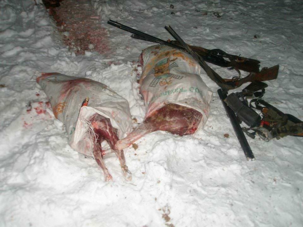 За месяц в Восточно-Казахстанской области выявлены десятки случаев браконьерства