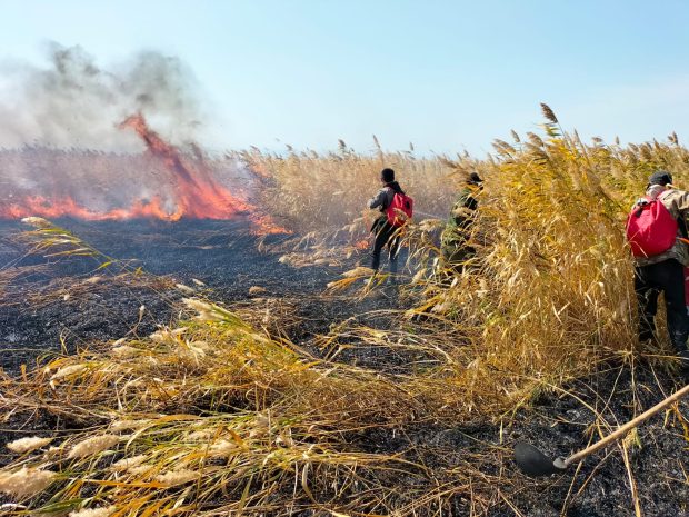 Более 57 раз за сутки выезжали на пожары спасатели ВКО