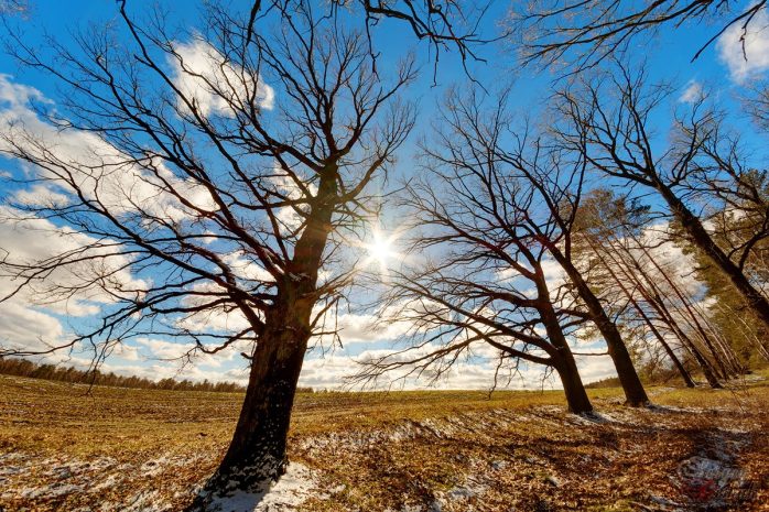 Қазақстанның оңтүстік өңірлерінде күн ашық және жылы болады