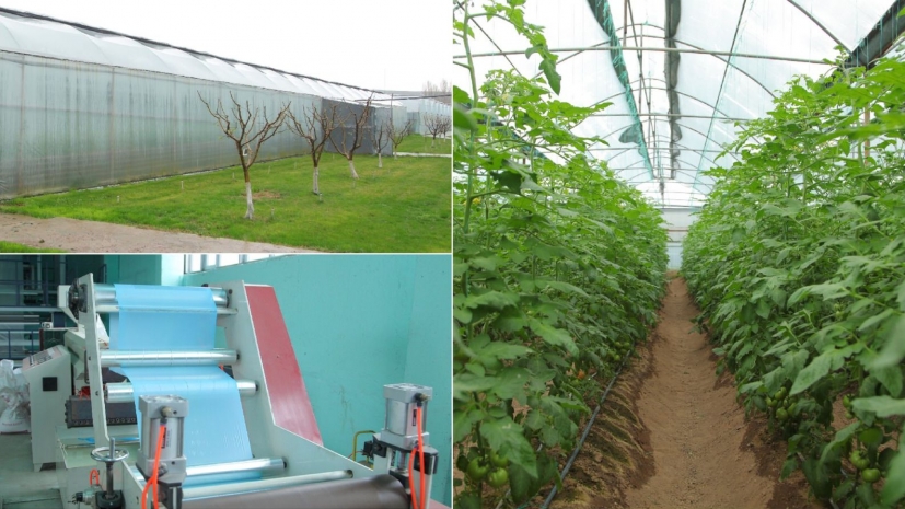 80% теплиц Казахстана приходятся на ЮКО