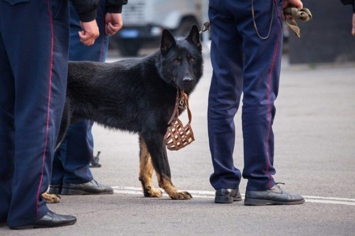 В Алматы «заминировали» один из банков
