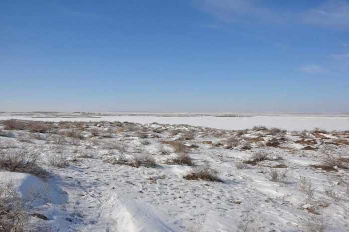 Тело мужчины нашли в степи в Акмолинской области