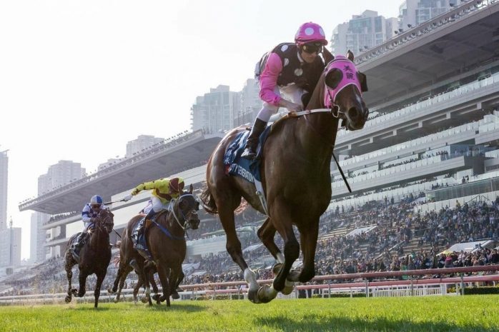 Кто владеет самыми быстрыми скакунами в мире