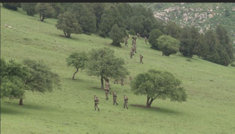 Пропавшие в ЮКО девочка и женщина погибли
