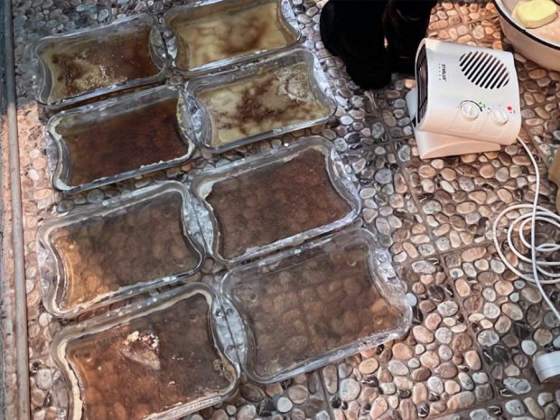 35 килограммов «синтетики» изъяли в ходе спецоперации в Алматинской области