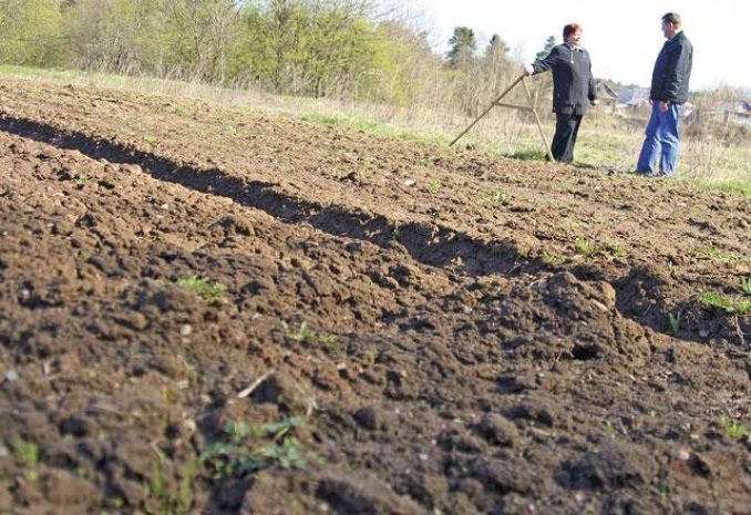 Мошенник выманил 32,5 млн тенге у сельчан