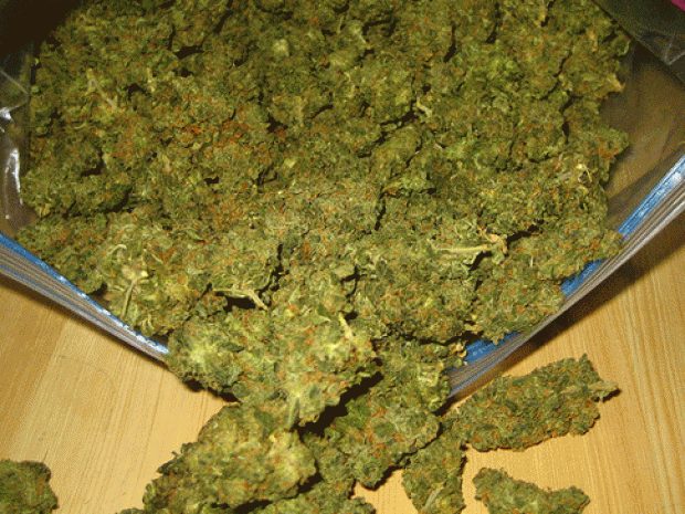 Карагандинский кондуктор задержан с 55 кг марихуаны