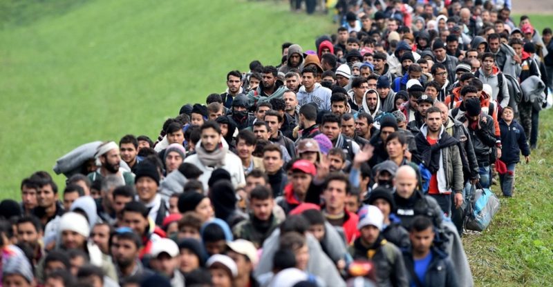 Число мигрантов в мире достигло 272 миллионов человек