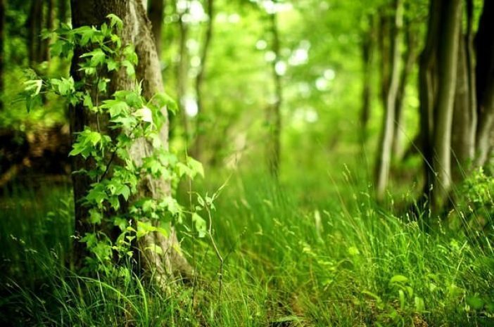 К ЭКСПО-2017 в столице построят 10 крупных объектов