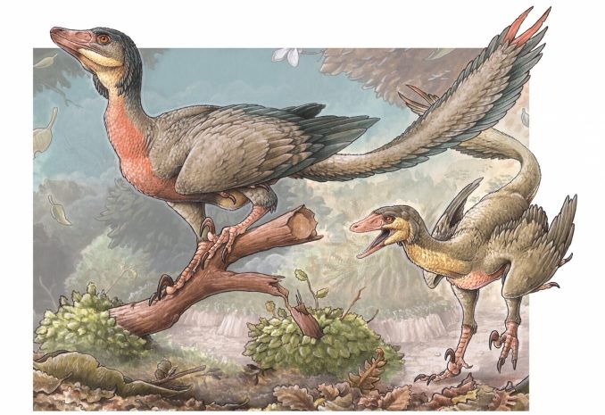 Открыт новый вид динозавров