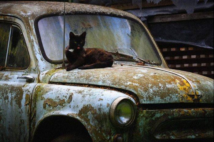 90% авто в Казахстане старше семи летЭксклюзив