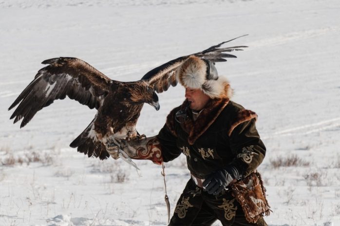 Яркое шоу устроили беркутчи и заводчики тазы в Павлодарской области