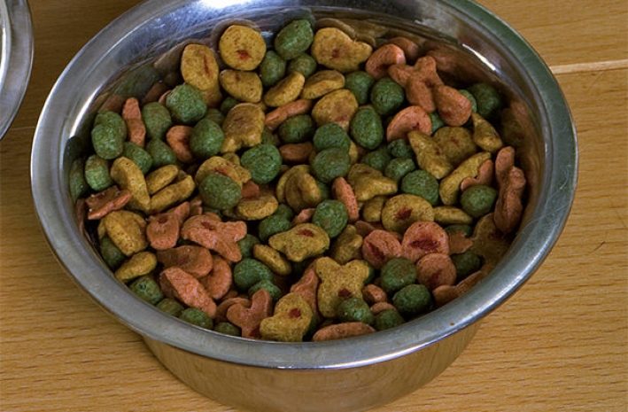 В Петербурге запретили ввоз корма из США