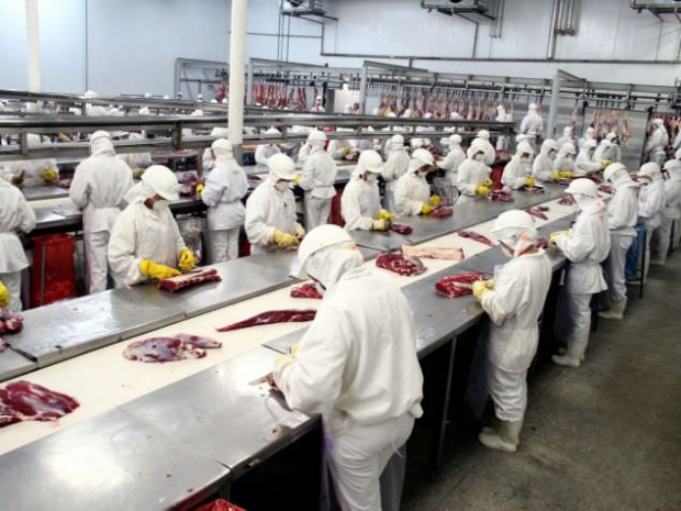 Ученые: замена мяса на насекомых заметно сократит выбросы парниковых газов