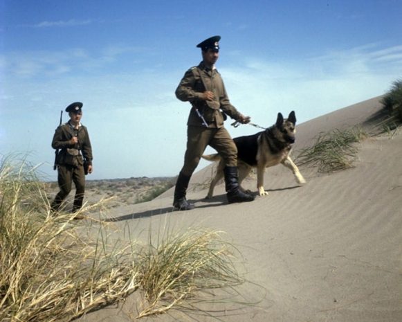 В ВКО задержали американца, пытавшегося пересечь границу с Китаем