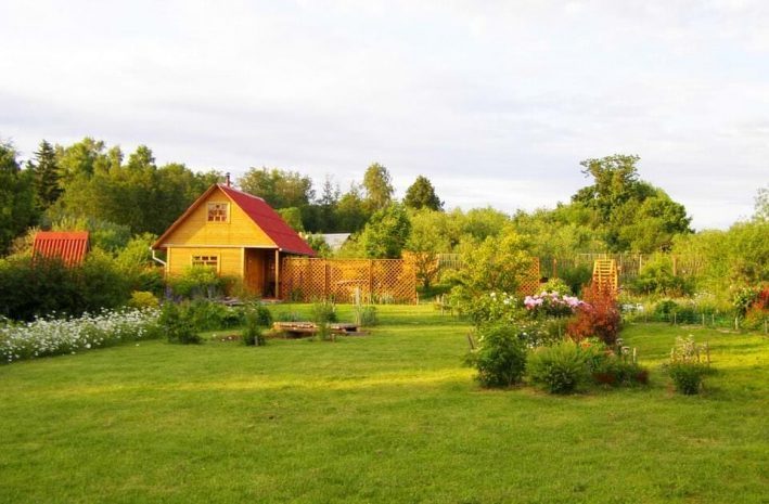 В Астане планируют принудительно изымать дачные участки