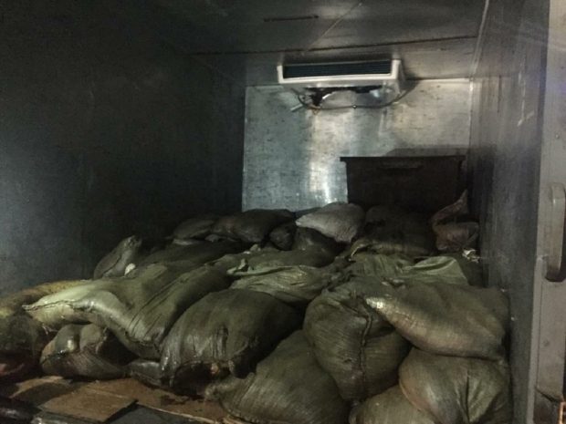 Тонну рыбы без документов изъяли у жителя Карагандинской области