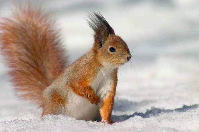 Значительное потепление прогнозируют в Казахстане