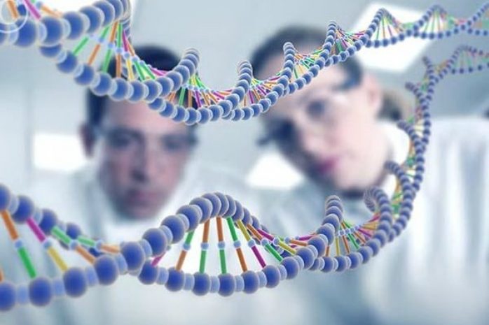 Ученые-медики научились лечить взрослых генами