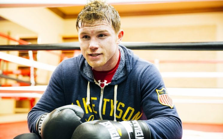 Альварес согласился на третий бой с Головкиным