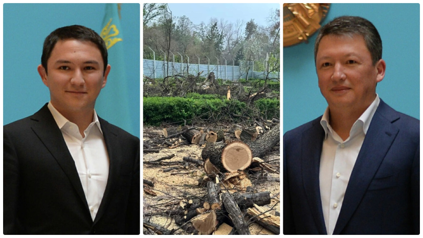 Алматинцы против строительства семьей Кулибаевых кафе «Акку» в сквере