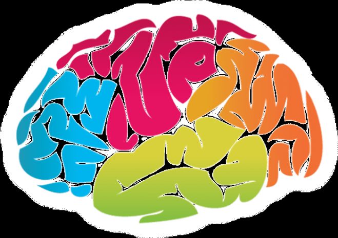 Интересные факты о нашем организме