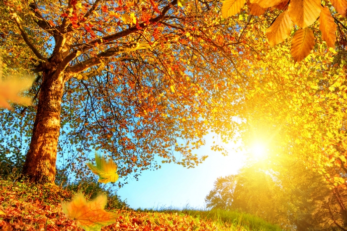 Погода без осадков ожидается на большей части территории Казахстана