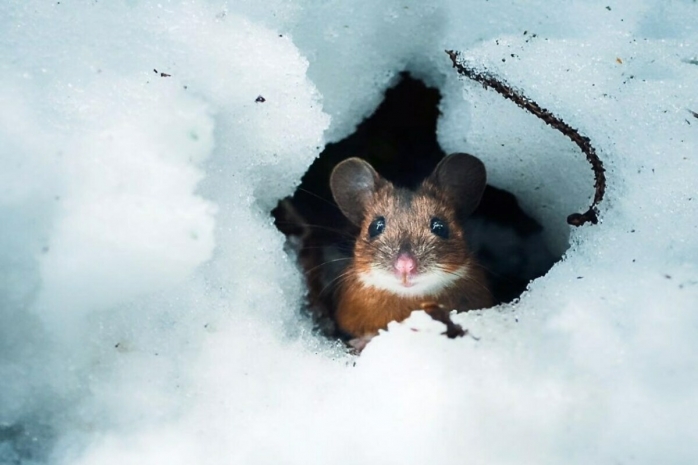 Народные приметы: время наблюдать за погодой