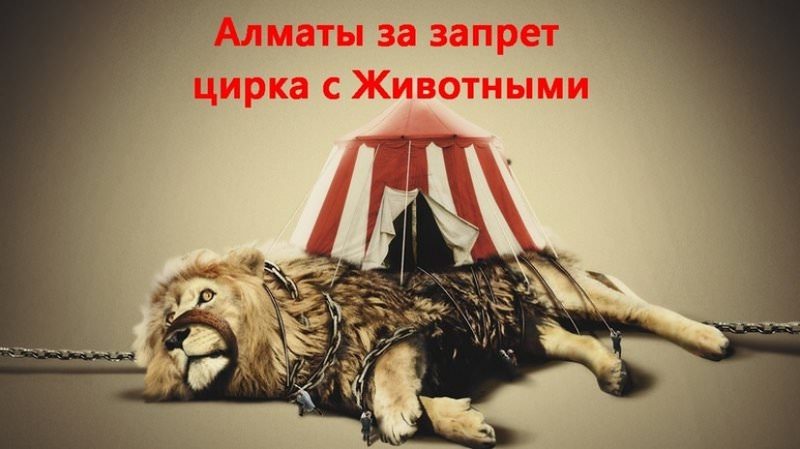 Акиму Алматы направили петицию