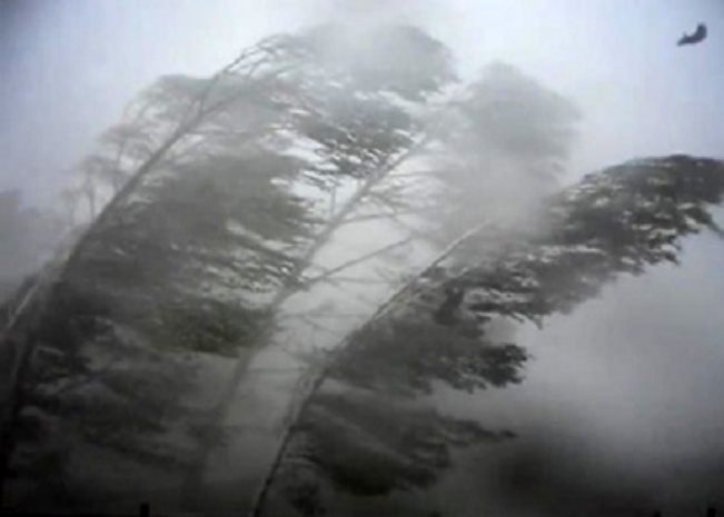 Шквальный ветер ожидается 26 мая в СКО