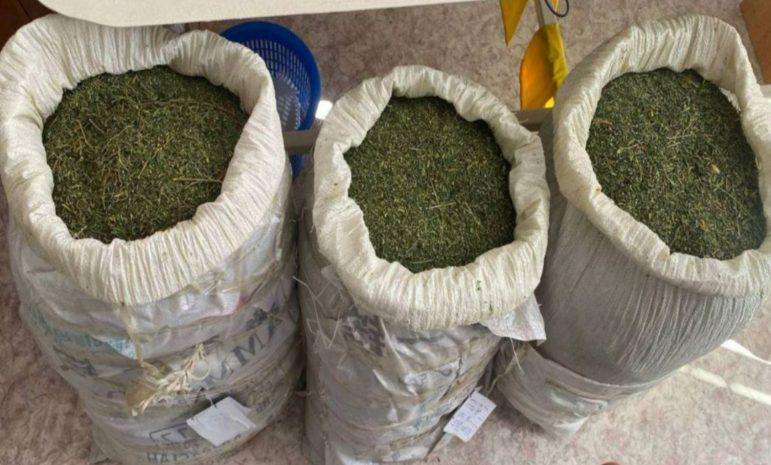 Более 50 кг марихуаны изъяли у жителей Жамбылской области