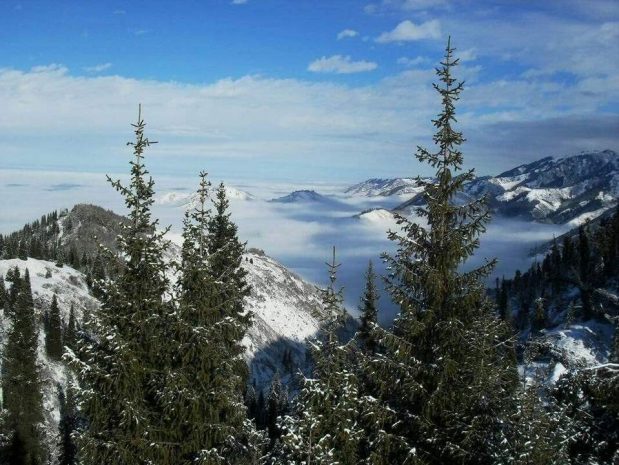 Суд в Алматы признал госэкоэкспертизу по «Кок-Жайляу» законной