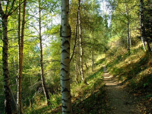12 студентов искали спасатели в горах