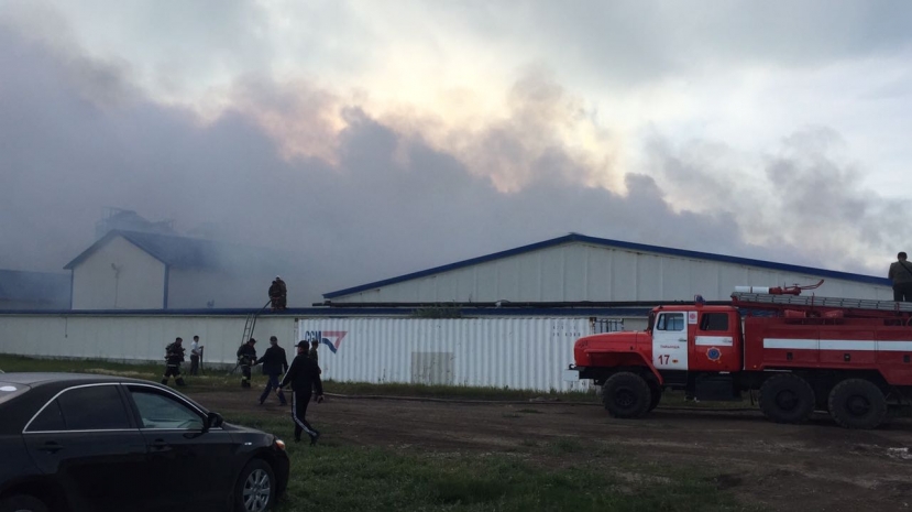 На пожаре в СКО погибло 28 свиноматок