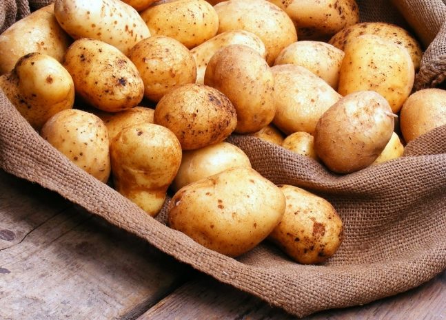 Почему запрещен экспорт картофеля из Казахстана — МСХ