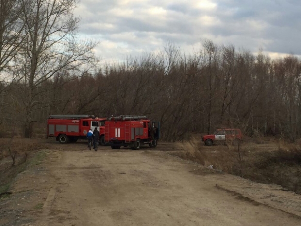 Крупный лесной пожар потушили в Павлодаре